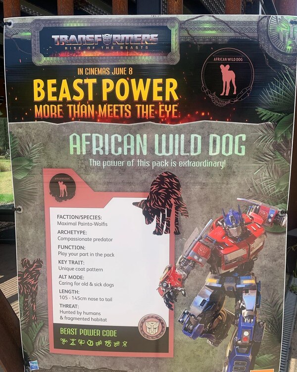 Image Of Transformers Rise Of The Beasts   Beast Awakening Taronga Zoo In Sydney, Australia 2   (17 of 21)